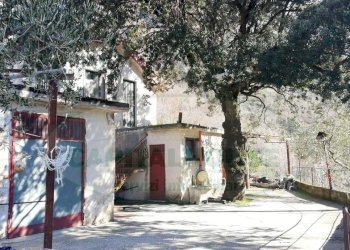 Foto 5 - Terreno agricolo quadrelle, Quadrelle - foto 5