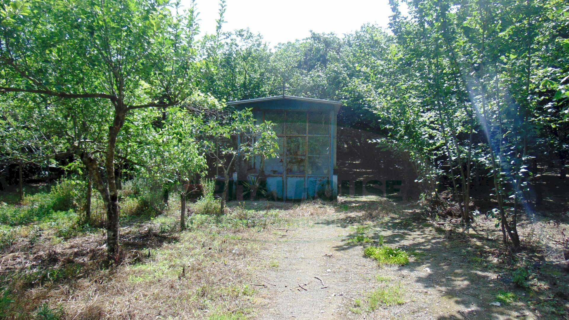 Foto 3 - Terreno agricolo baiano, Baiano - foto 3