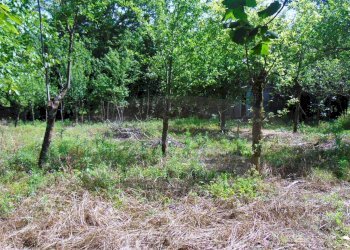 Foto 2 - Terreno agricolo baiano, Baiano - foto 2