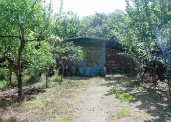 Foto 3 - Terreno agricolo baiano, Baiano - foto 3