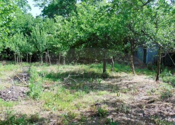 Foto 4 - Terreno agricolo baiano, Baiano - foto 4