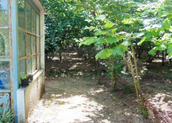 Foto 5 - Terreno agricolo baiano, Baiano - foto 5