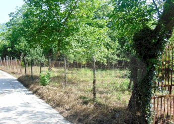 Foto 7 - Terreno agricolo baiano, Baiano - foto 7