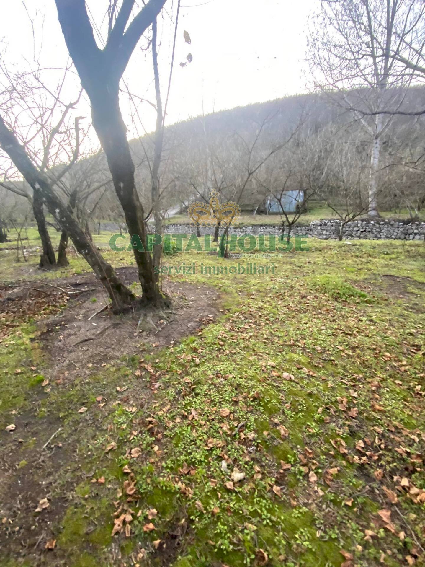 Foto 1 - Terreno agricolo mugnano del cardinale, Mugnano del Cardinale - foto 1