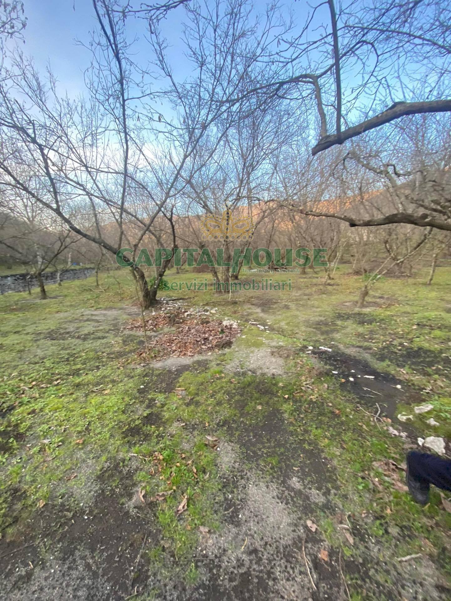 Foto 2 - Terreno agricolo mugnano del cardinale, Mugnano del Cardinale - foto 2