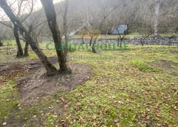 Foto 1 - Terreno agricolo mugnano del cardinale, Mugnano del Cardinale - foto 1