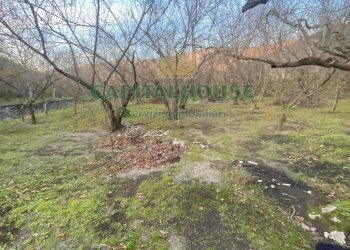 Foto 2 - Terreno agricolo mugnano del cardinale, Mugnano del Cardinale - foto 2