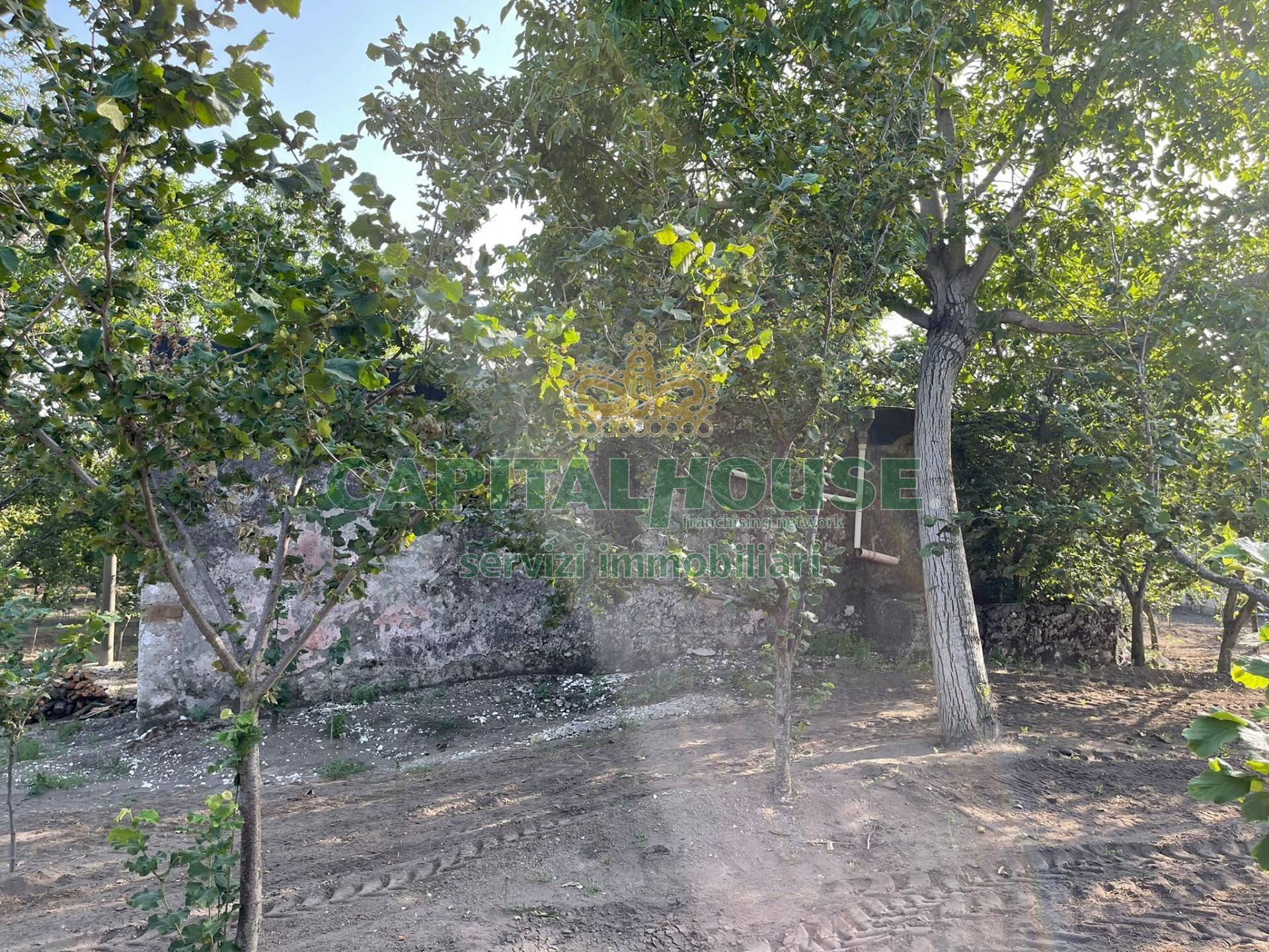 Foto 3 - Terreno agricolo avella, Avella - foto 3