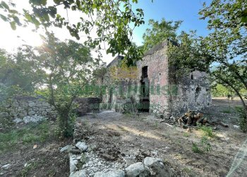 Foto 1 - Terreno agricolo avella, Avella - foto 1