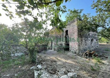 Foto 2 - Terreno agricolo avella, Avella - foto 2