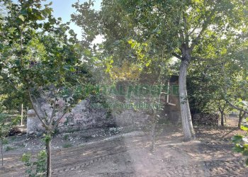 Foto 3 - Terreno agricolo avella, Avella - foto 3