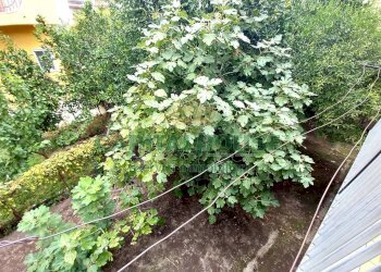 Foto 36 - Independent house nicola litto  baiano, Baiano - photo 36