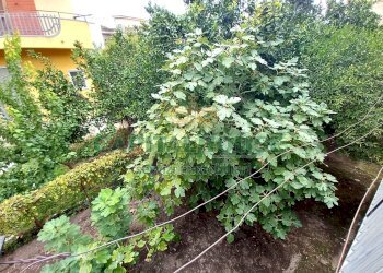 Foto 37 - Independent house nicola litto  baiano, Baiano - photo 37