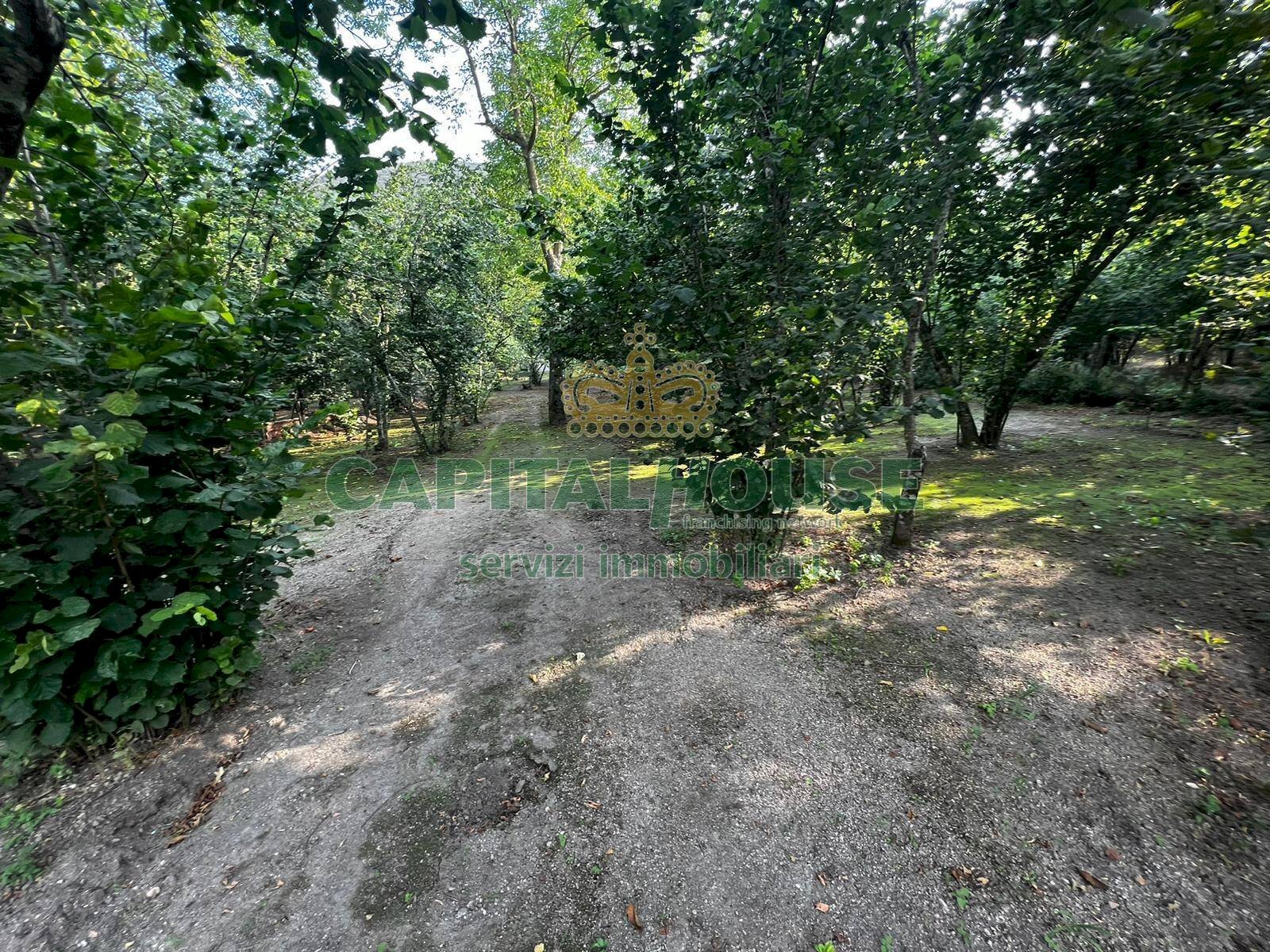 Foto 1 - Terreno agricolo via chiaio, Baiano - foto 1