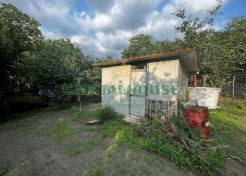 Foto 7 - Terreno agricolo via chiaio, Baiano - foto 7