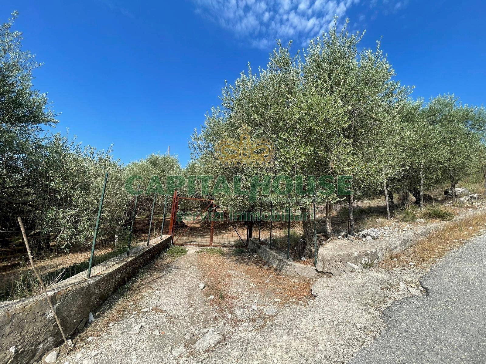 Foto 1 - Terreno agricolo avella, Avella - foto 1