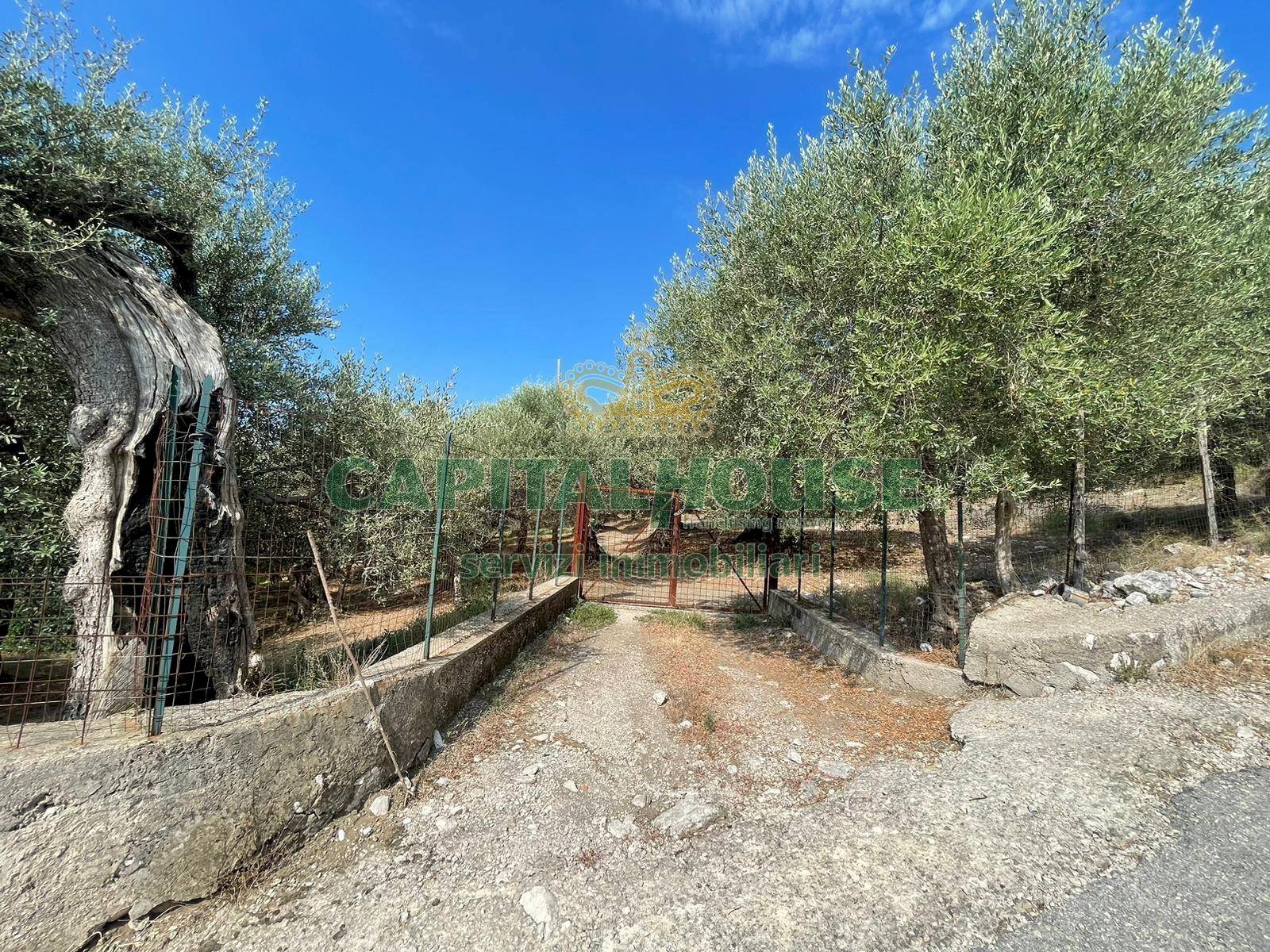 Foto 2 - Terreno agricolo avella, Avella - foto 2