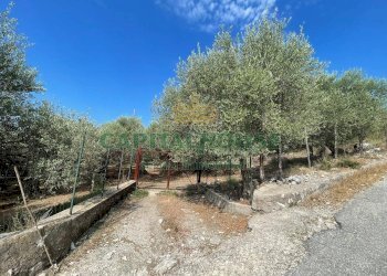 Foto 1 - Terreno agricolo avella, Avella - foto 1