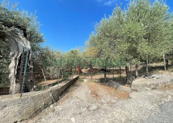 Foto 2 - Terreno agricolo avella, Avella - foto 2