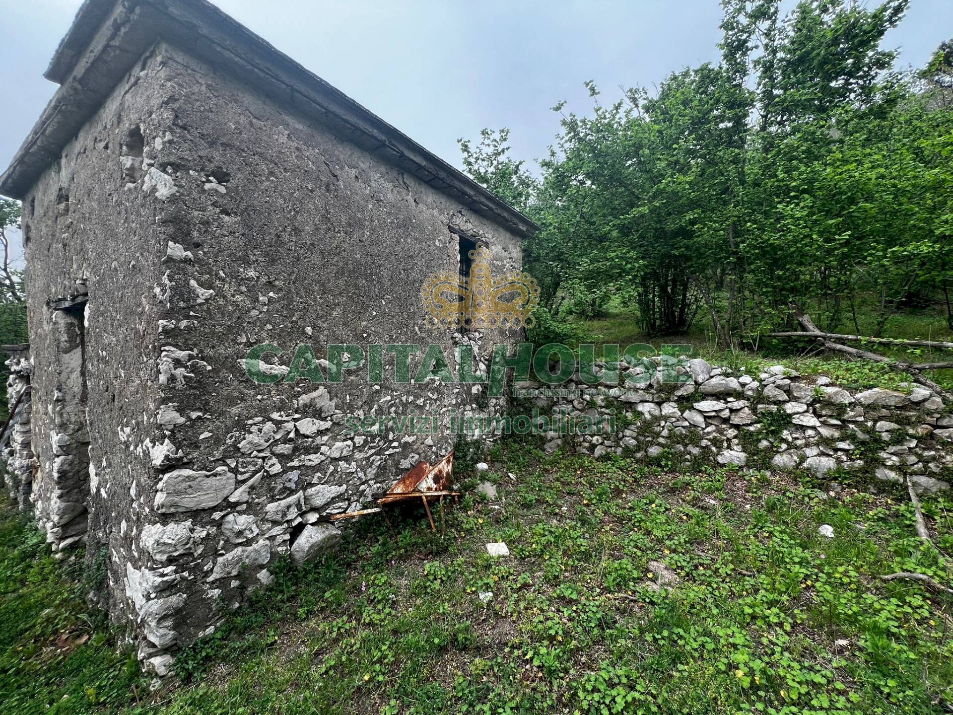 Foto 1 - Terreno agricolo mugnano del cardinale, Mugnano del Cardinale - foto 1