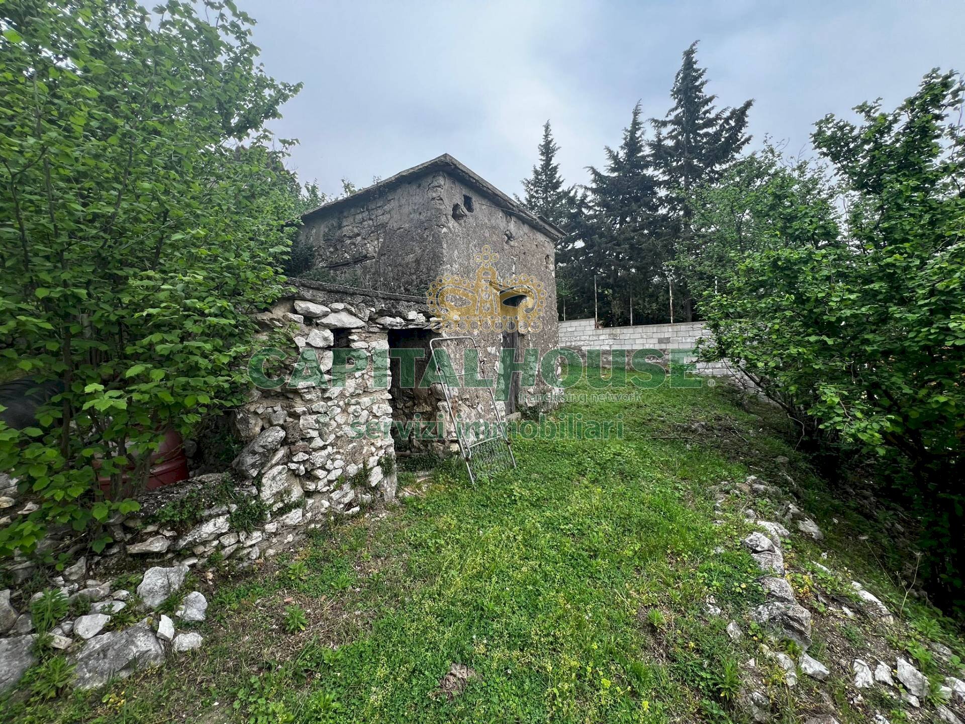 Foto 2 - Terreno agricolo mugnano del cardinale, Mugnano del Cardinale - foto 2