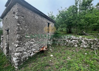 Foto 1 - Terreno agricolo mugnano del cardinale, Mugnano del Cardinale - foto 1