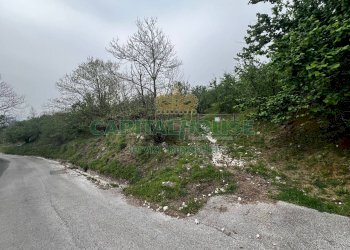 Foto 9 - Terreno agricolo mugnano del cardinale, Mugnano del Cardinale - foto 9