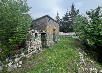 Foto 11 - Terreno agricolo mugnano del cardinale, Mugnano del Cardinale - foto 11