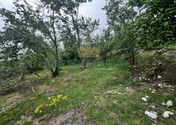 Foto 12 - Terreno agricolo mugnano del cardinale, Mugnano del Cardinale - foto 12