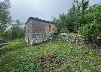 Foto 13 - Terreno agricolo mugnano del cardinale, Mugnano del Cardinale - foto 13