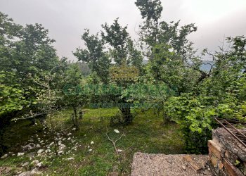 Foto 14 - Terreno agricolo mugnano del cardinale, Mugnano del Cardinale - foto 14