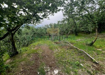 Foto 16 - Terreno agricolo mugnano del cardinale, Mugnano del Cardinale - foto 16