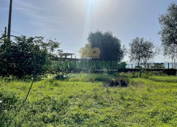 Foto 2 - Terreno edificabile via fusaro, Avella - foto 2