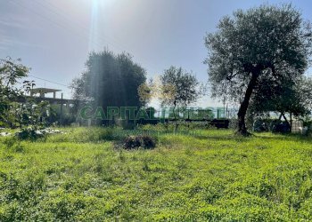 Foto 7 - Terreno edificabile via fusaro, Avella - foto 7