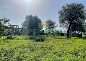 Foto 8 - Terreno edificabile via fusaro, Avella - foto 8