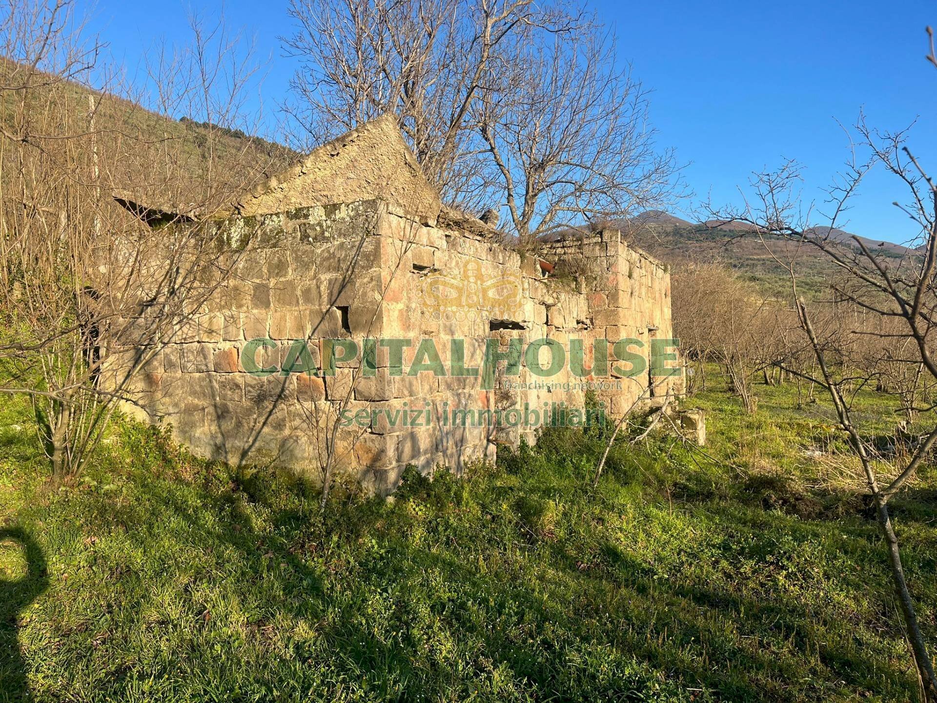 Foto 2 - Terreno agricolo sirignano, Sirignano - foto 2