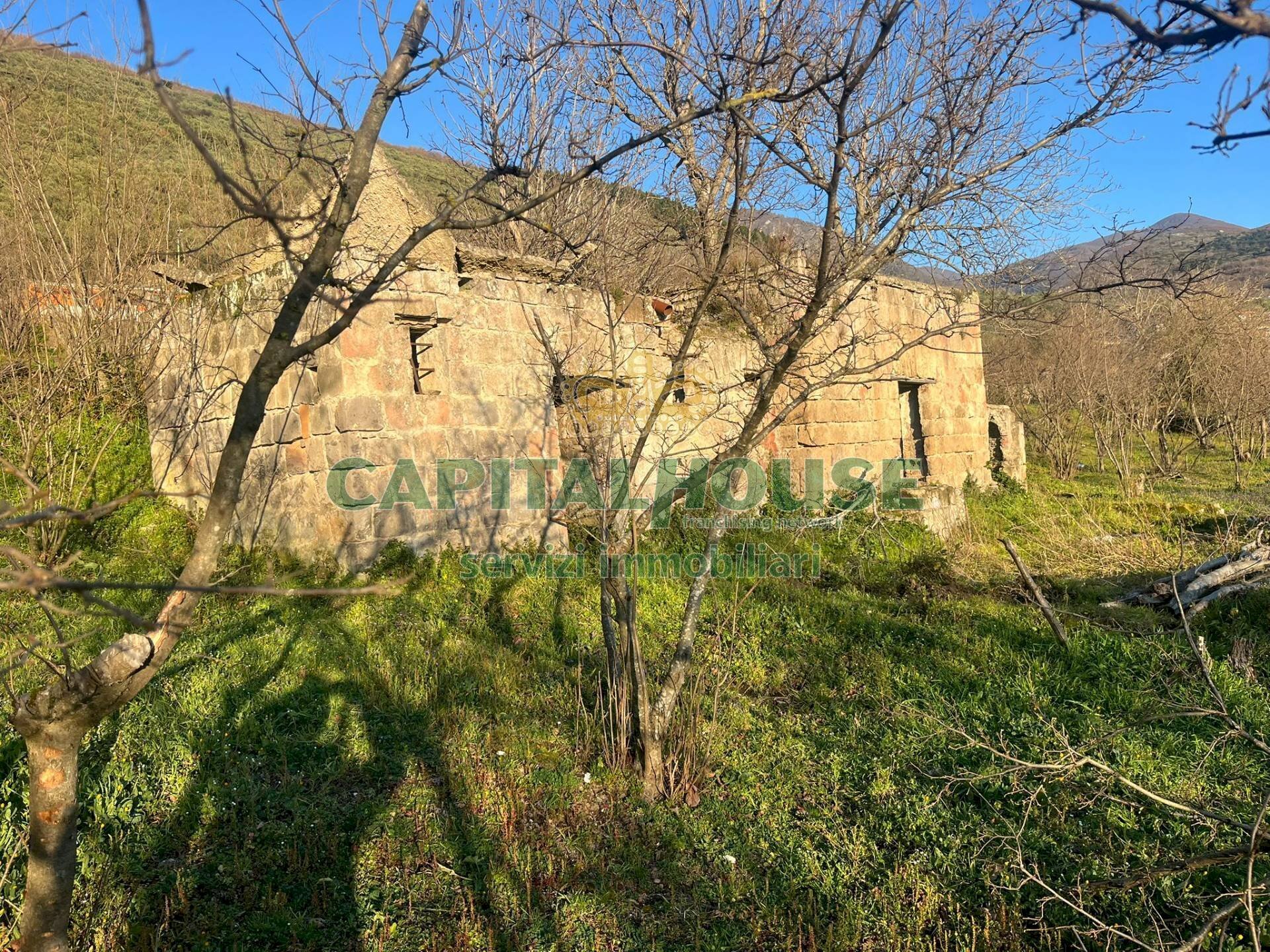 Foto 3 - Terreno agricolo sirignano, Sirignano - foto 3