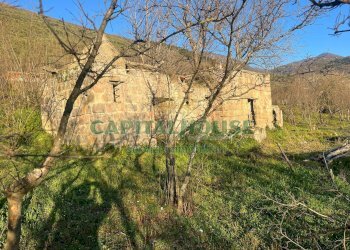 Foto 3 - Terreno agricolo sirignano, Sirignano - foto 3