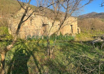 Foto 4 - Terreno agricolo sirignano, Sirignano - foto 4