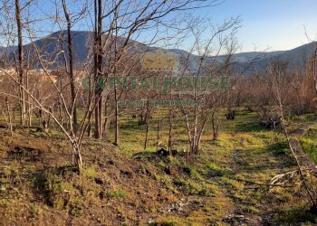 Foto 6 - Terreno agricolo sirignano, Sirignano - foto 6