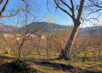 Foto 7 - Terreno agricolo sirignano, Sirignano - foto 7