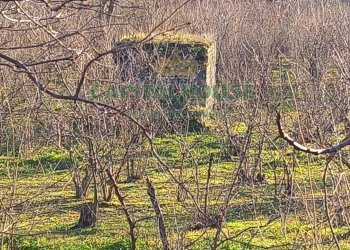 Foto 11 - Terreno agricolo sirignano, Sirignano - foto 11