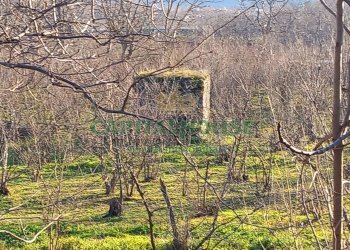 Foto 13 - Terreno agricolo sirignano, Sirignano - foto 13