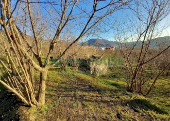 Foto 14 - Terreno agricolo sirignano, Sirignano - foto 14