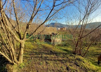 Foto 15 - Terreno agricolo sirignano, Sirignano - foto 15