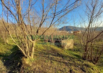 Foto 16 - Terreno agricolo sirignano, Sirignano - foto 16