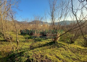 Foto 17 - Terreno agricolo sirignano, Sirignano - foto 17