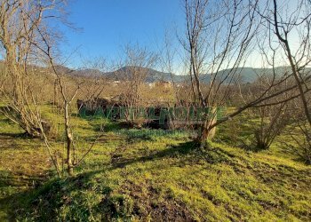 Foto 18 - Terreno agricolo sirignano, Sirignano - foto 18