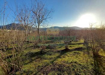 Foto 19 - Terreno agricolo sirignano, Sirignano - foto 19