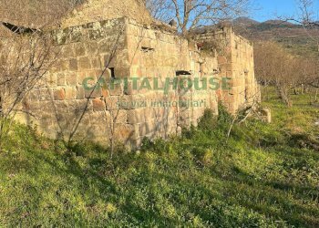 Foto 20 - Terreno agricolo sirignano, Sirignano - foto 20